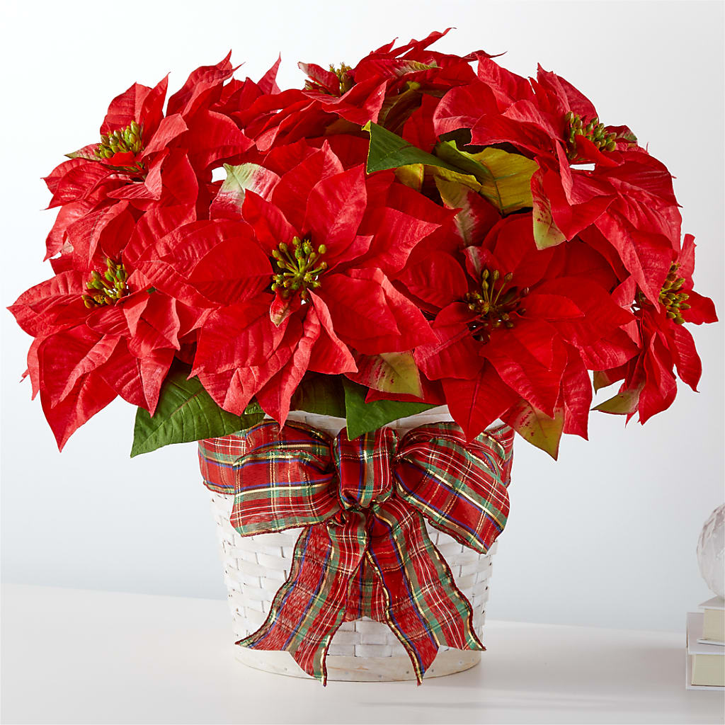 Happiest Holidays Poinsettia – LA DEANNE'S FLORIST, Cuthbert GA