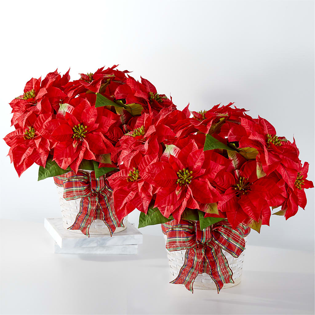 Happiest Holidays Poinsettia Bundle – LA DEANNE'S FLORIST, Cuthbert GA