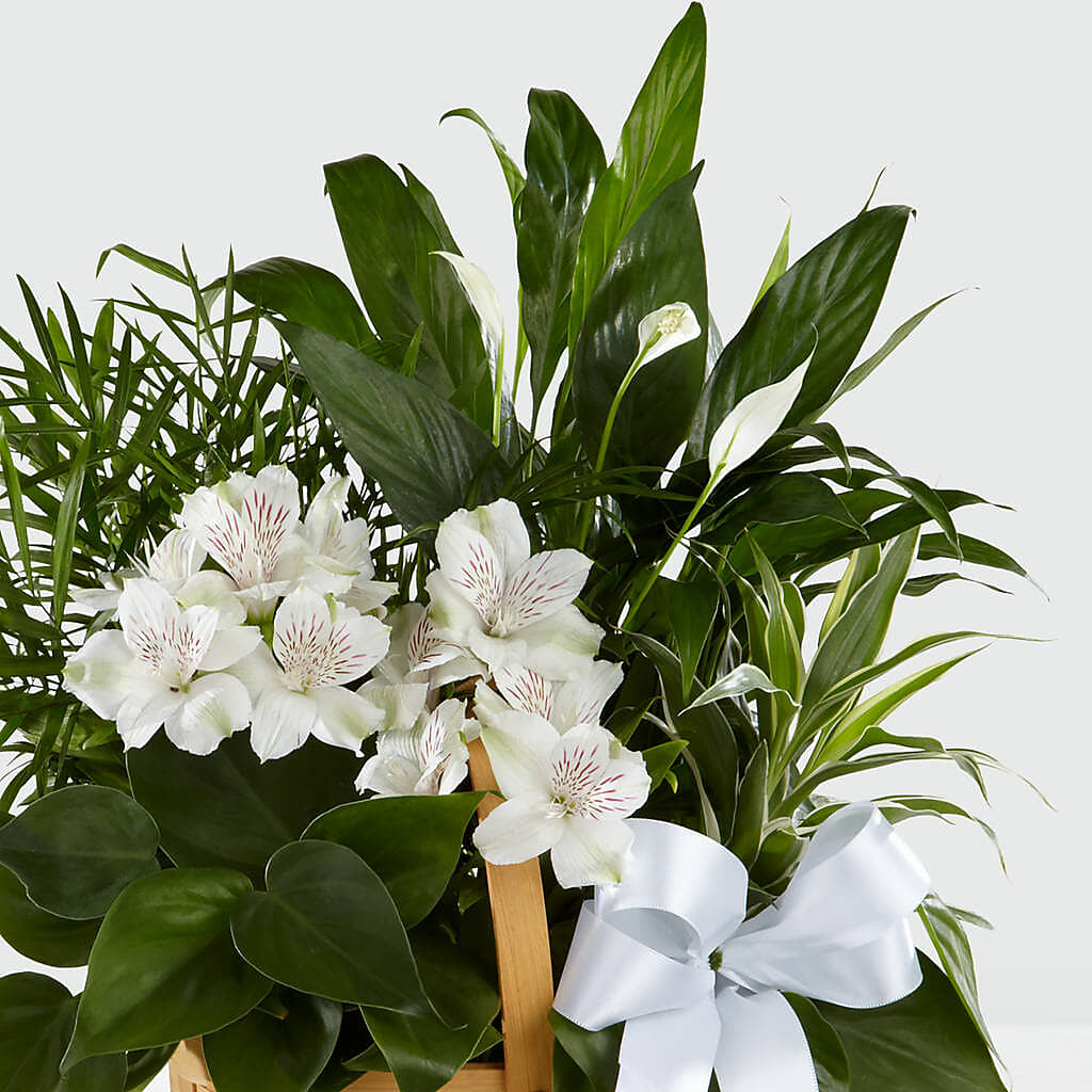 Peace & Serenity Dishgarden – LA DEANNE'S FLORIST, Cuthbert GA