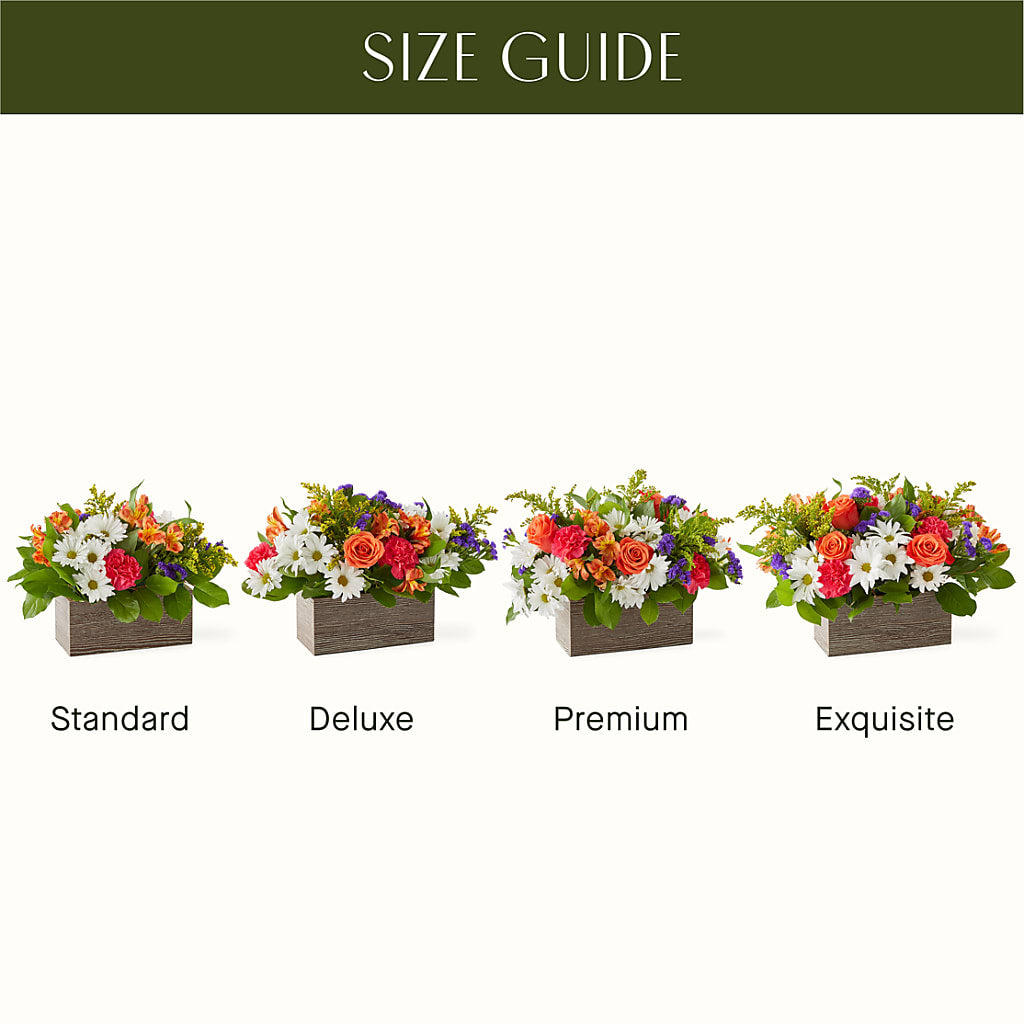 Oopsie Daisy Box Bouquet – LA DEANNE'S FLORIST, Cuthbert GA