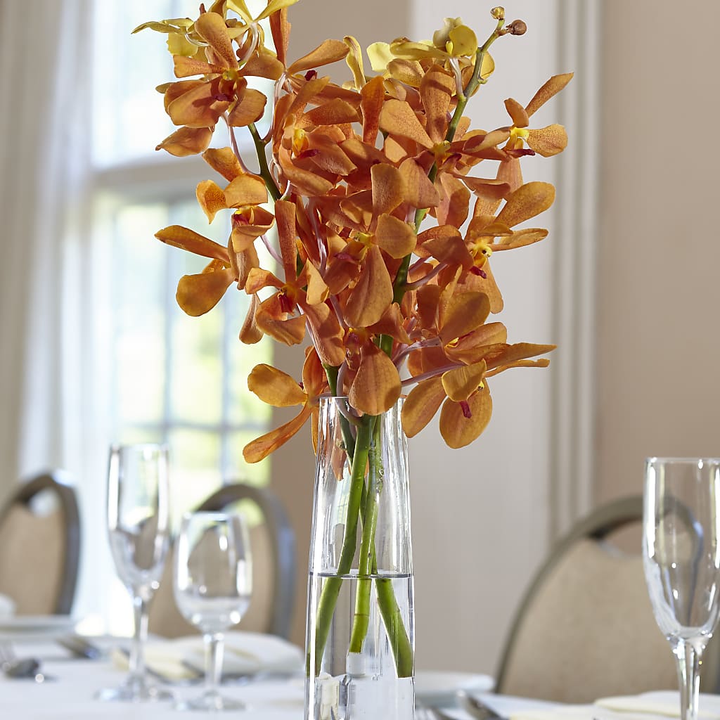 Orange Mokara Bud Vase – LA DEANNE'S FLORIST, Cuthbert GA