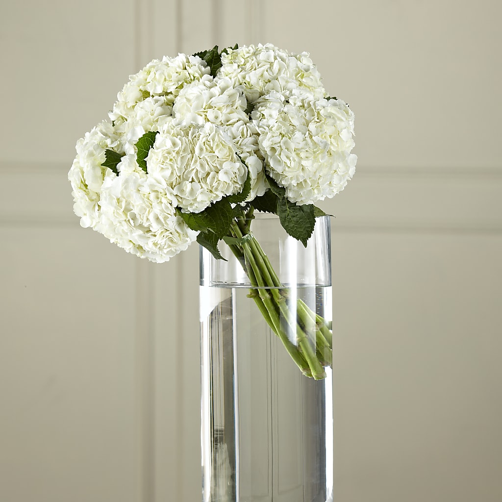 White Hydrangea Hand-Tied Bouquet – LA DEANNE'S FLORIST, Cuthbert GA