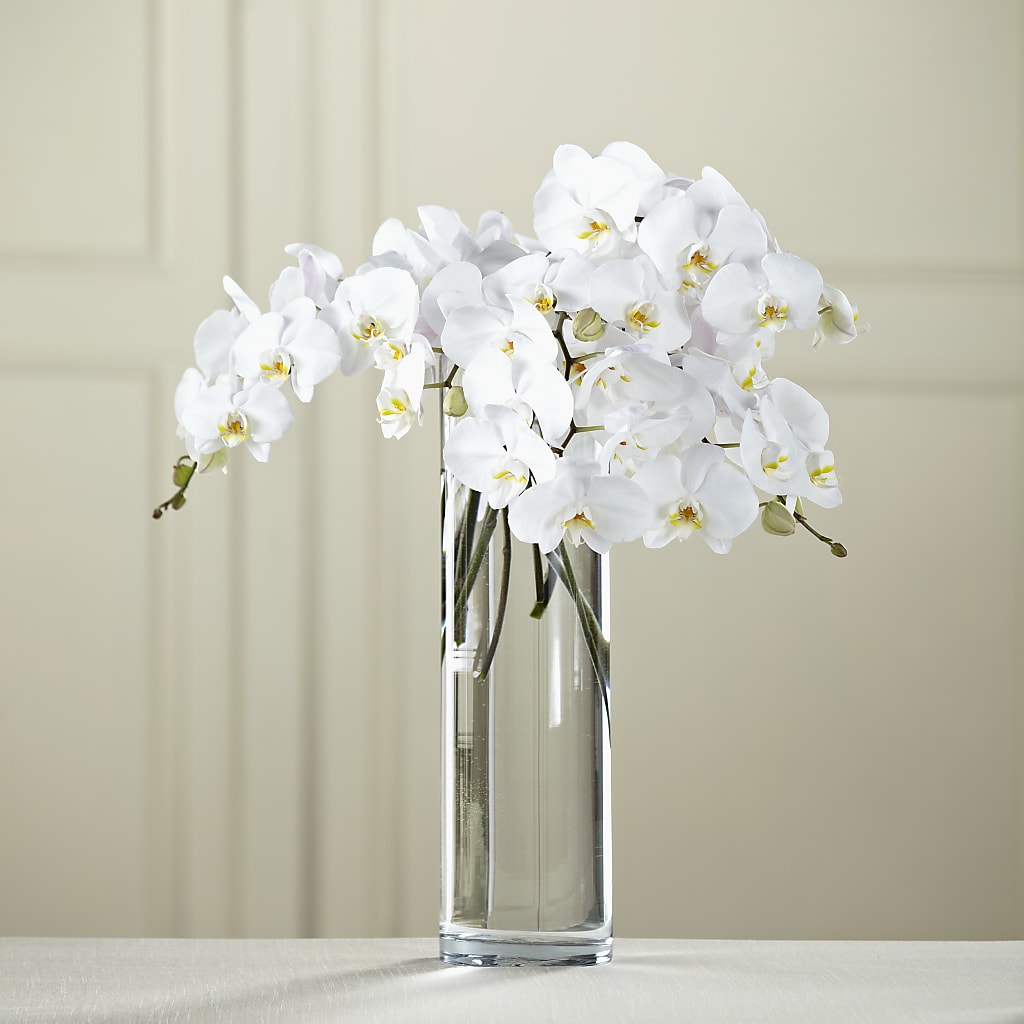 White Phalaenopsis Bouquet – LA DEANNE'S FLORIST, Cuthbert GA