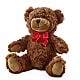 Adorable Plush Bear – LA DEANNE'S FLORIST, Cuthbert GA