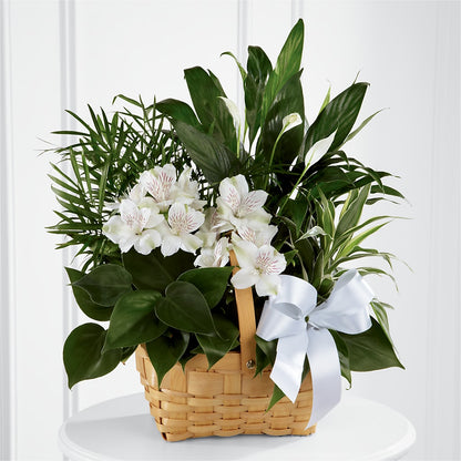 Peace & Serenity Dishgarden – LA DEANNE'S FLORIST, Cuthbert GA