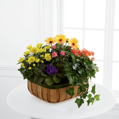 Gentle Blossoms Basket – LA DEANNE'S FLORIST, Cuthbert GA