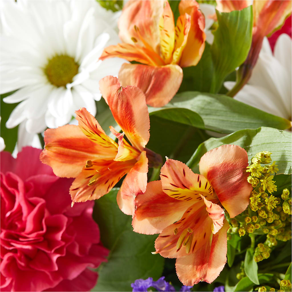 Oopsie Daisy Box Bouquet – LA DEANNE'S FLORIST, Cuthbert GA