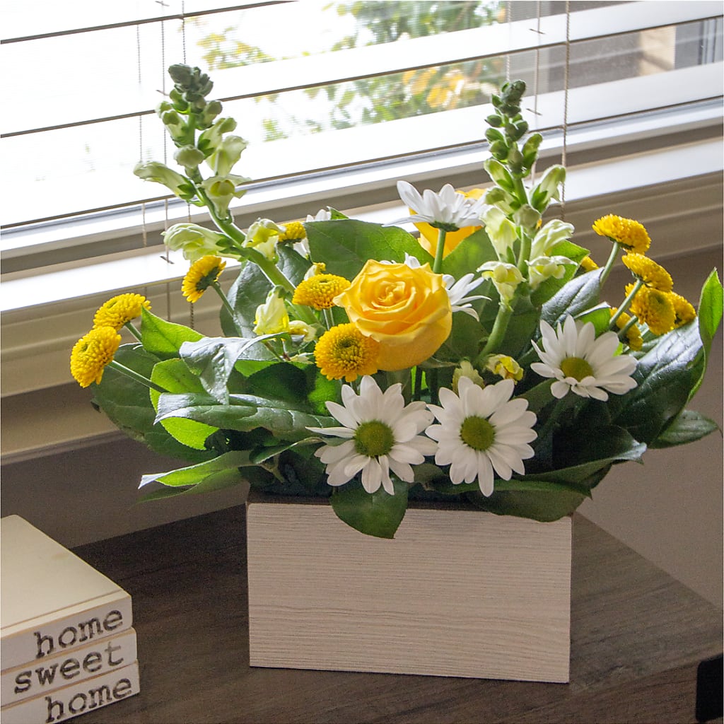 Sun Salutation Box Bouquet – LA DEANNE'S FLORIST, Cuthbert GA