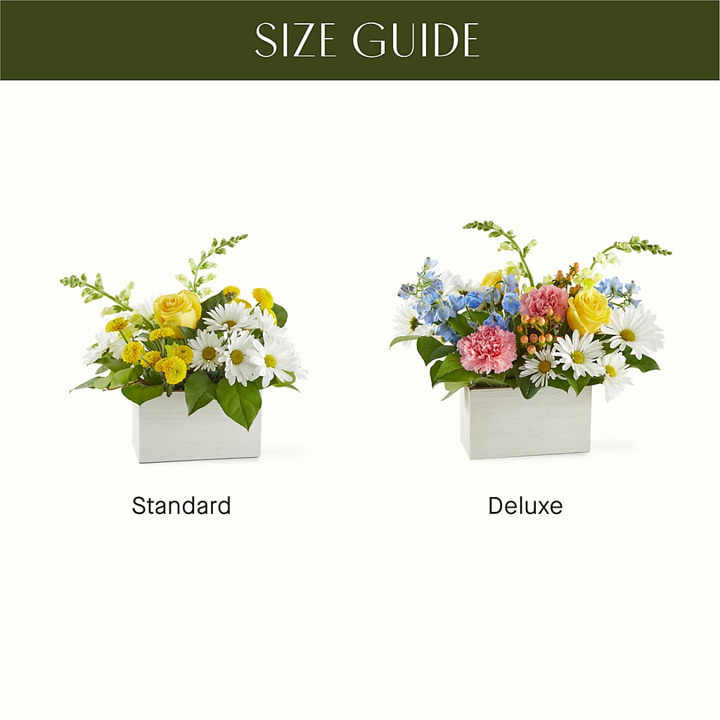Sun Salutation Box Bouquet – LA DEANNE'S FLORIST, Cuthbert GA