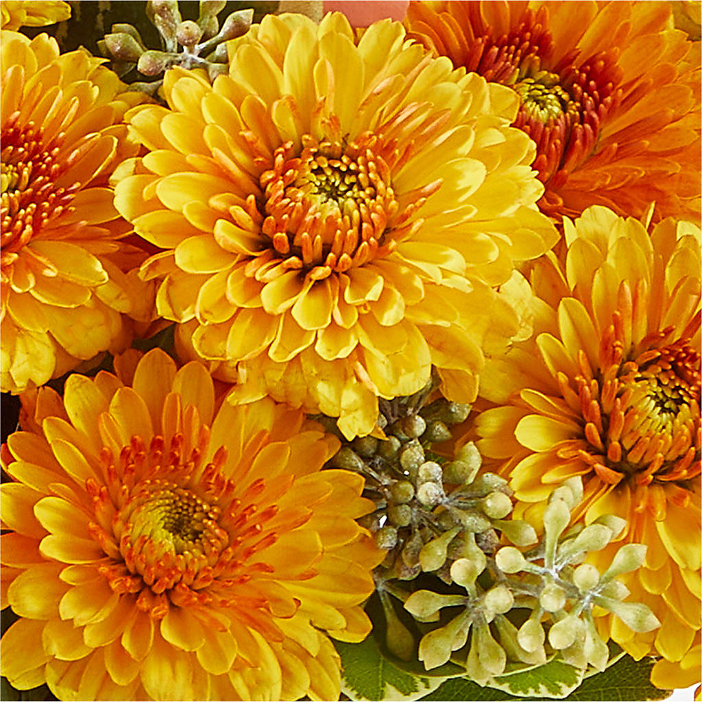 Peachy Pumpkin – LA DEANNE'S FLORIST, Cuthbert GA