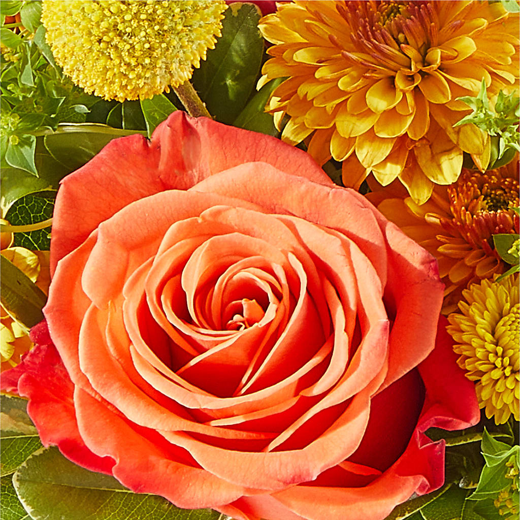Gourdgeous Pumpkin – LA DEANNE'S FLORIST, Cuthbert GA