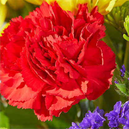 Brighter Days Bouquet – LA DEANNE'S FLORIST, Cuthbert GA