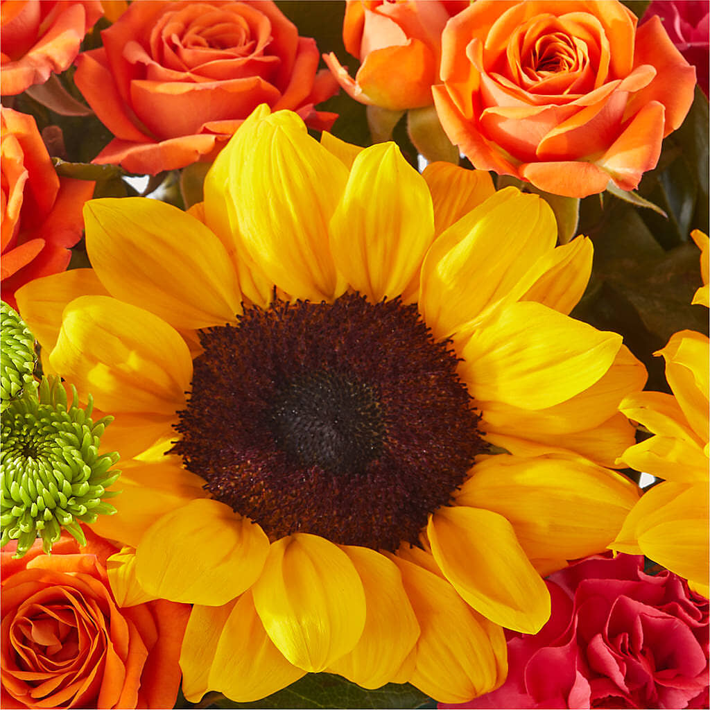 Sun-drenched Blooms Box Bouquet – LA DEANNE'S FLORIST, Cuthbert GA