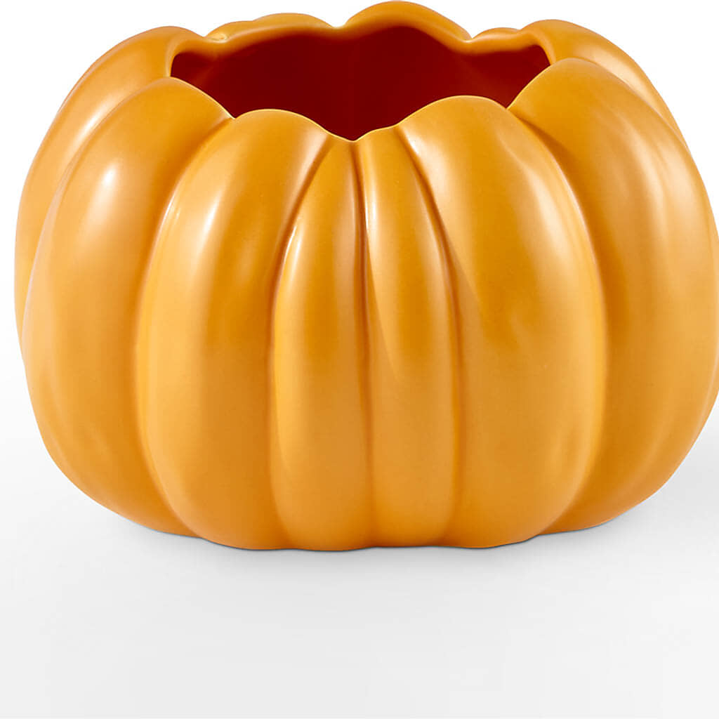 Pick of the Patch Pumpkin Bouquet – LA DEANNE'S FLORIST, Cuthbert GA
