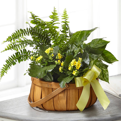 Always Dear Dishgarden – LA DEANNE'S FLORIST, Cuthbert GA