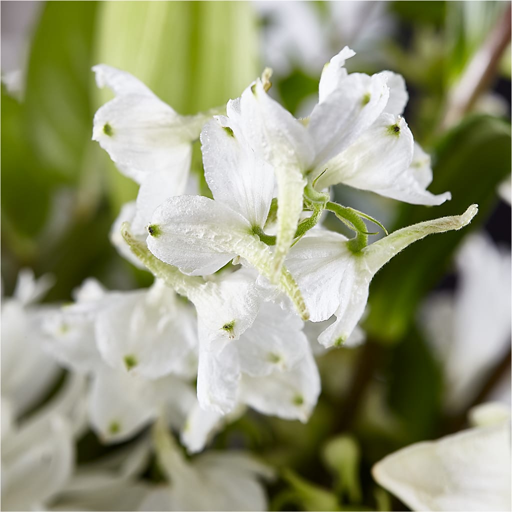 Classic Ivory – A Florist Original – LA DEANNE'S FLORIST, Cuthbert GA