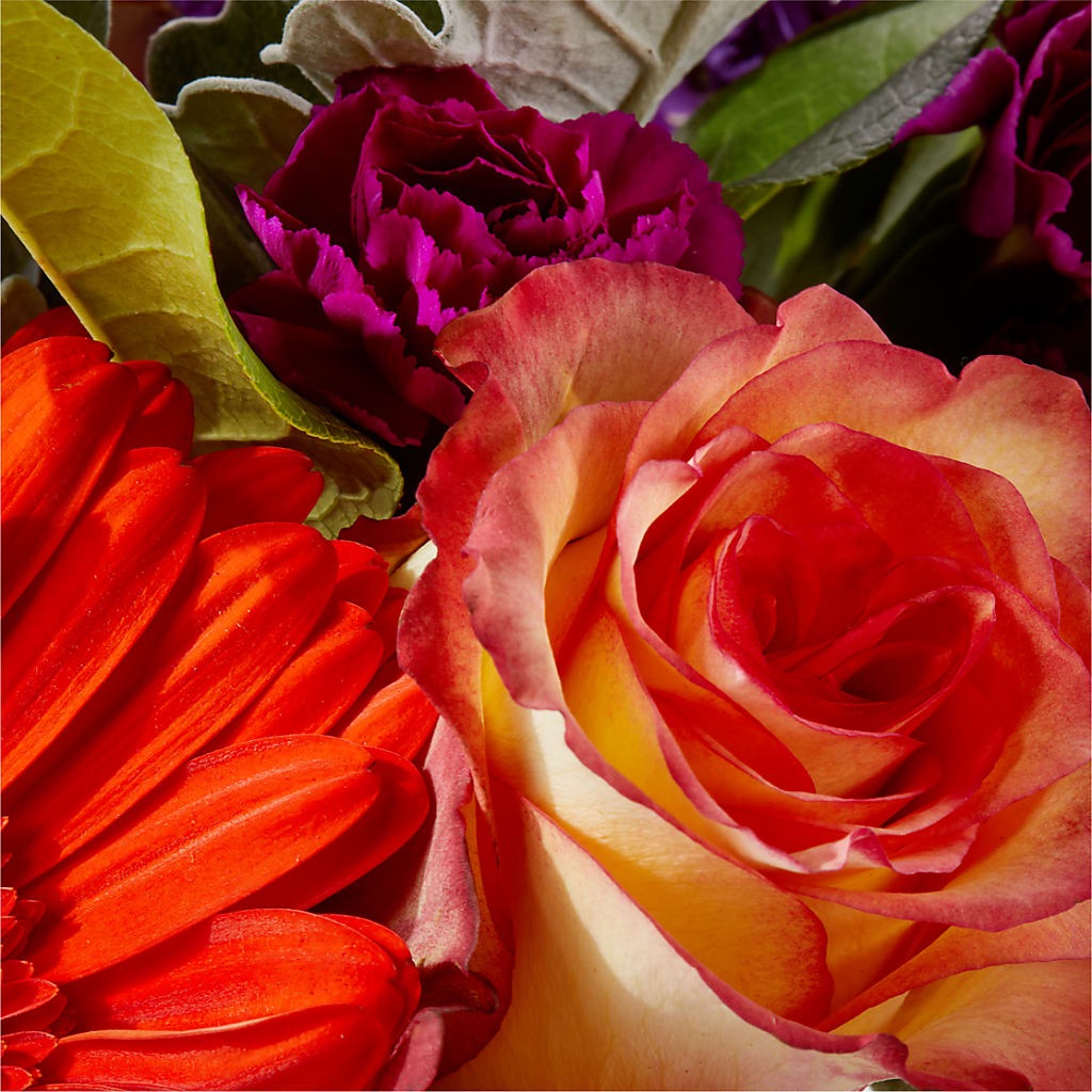 Sangria Bouquet – LA DEANNE'S FLORIST, Cuthbert GA