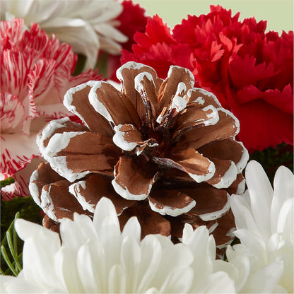 Candy Cane Lane Bouquet – LA DEANNE'S FLORIST, Cuthbert GA