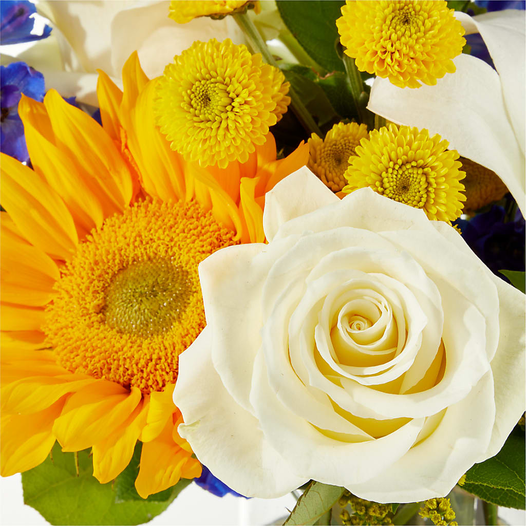 Stargazing Bouquet – LA DEANNE'S FLORIST, Cuthbert GA