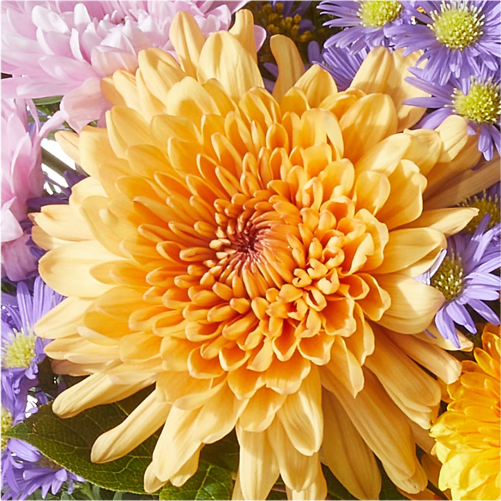 Countryside Bouquet – LA DEANNE'S FLORIST, Cuthbert GA