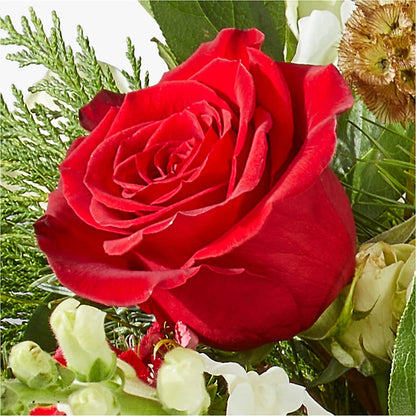 Deck the Halls Bouquet – LA DEANNE'S FLORIST, Cuthbert GA
