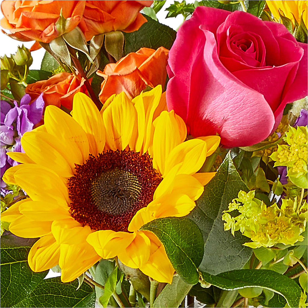 Vibrant Greetings Bouquet – LA DEANNE'S FLORIST, Cuthbert GA