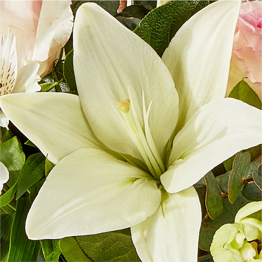 Ballet Slippers Bouquet – LA DEANNE'S FLORIST, Cuthbert GA