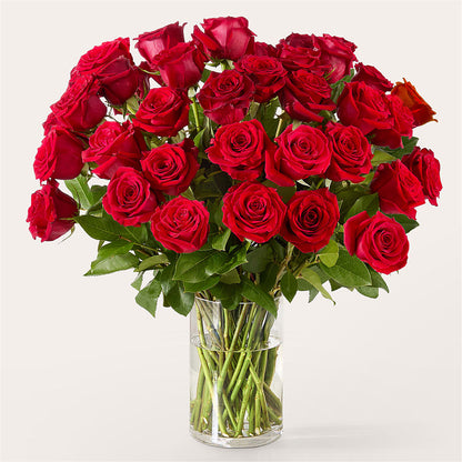 The One Red Rose Bouquet – LA DEANNE'S FLORIST, Cuthbert GA