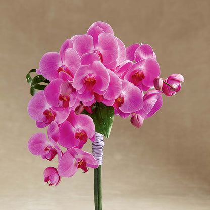 Glorious Bouquet – LA DEANNE'S FLORIST, Cuthbert GA