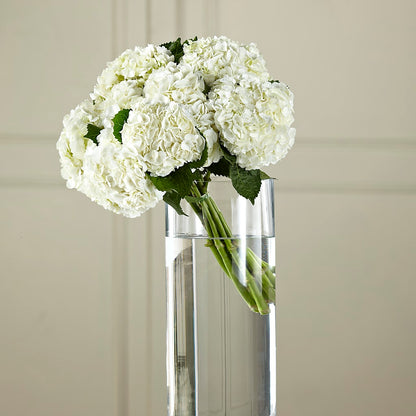 White Hydrangea Hand-Tied Bouquet – LA DEANNE'S FLORIST, Cuthbert GA