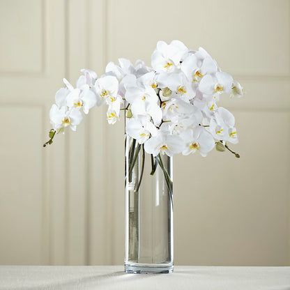 White Phalaenopsis Bouquet – LA DEANNE'S FLORIST, Cuthbert GA